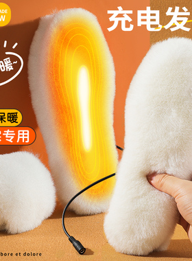 USB充电鞋垫男女防寒保暖加厚加绒羊毛可行走电加热发热鞋垫冬季