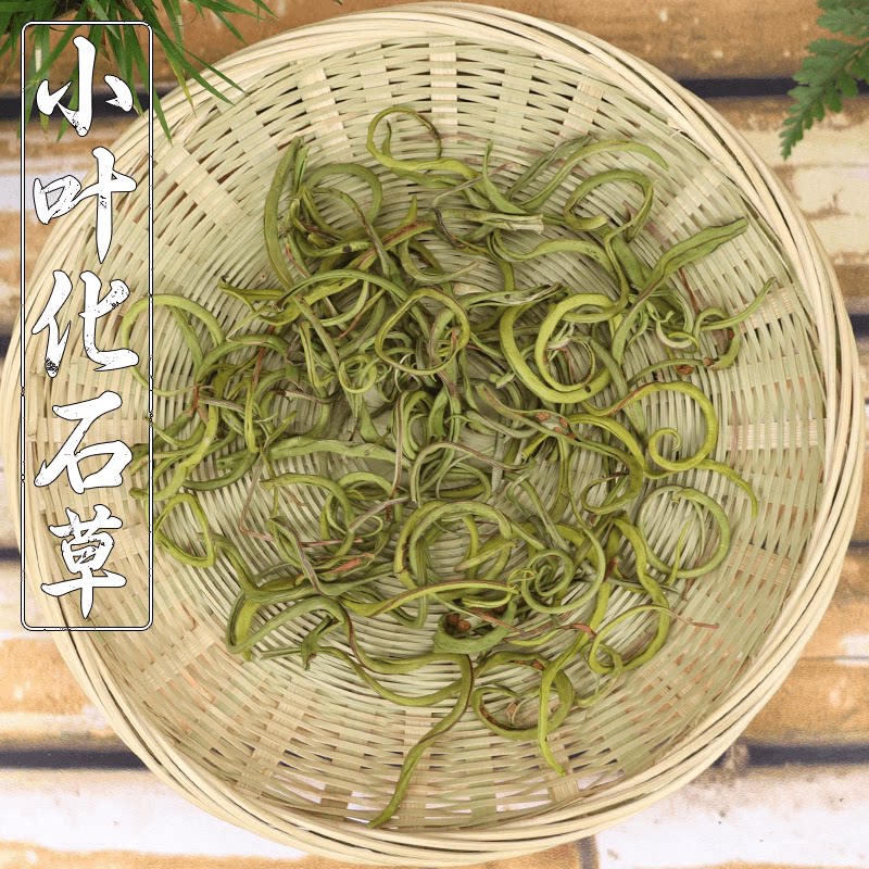 化石草中药材云南野生中草药化石草 肾精草