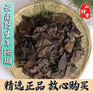 草珊瑚中药材云南野生草珊瑚 肿节风 九节茶 九节风
