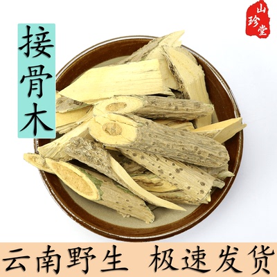 接骨木中药材云南野生
