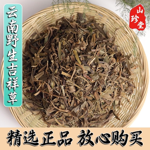 吉祥草中药材云南吉祥草 玉带草 观音草 小叶万年青
