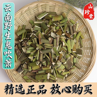 鬼吹箫中药材云南野生鬼吹箫 炮仗筒 空心木