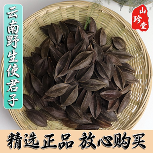 使君子中药材云南野生使君子 建使君 建君子 史君子 索子果