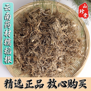 糯稻根中药材 糯米稻草根 糯谷根 稻根须 糯米根 稻根 稻谷根