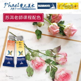 苏洱老师 DS 美丽蓝 荷尔拜因 水彩 拉斐尔画笔 宝虹 ARCHES DS