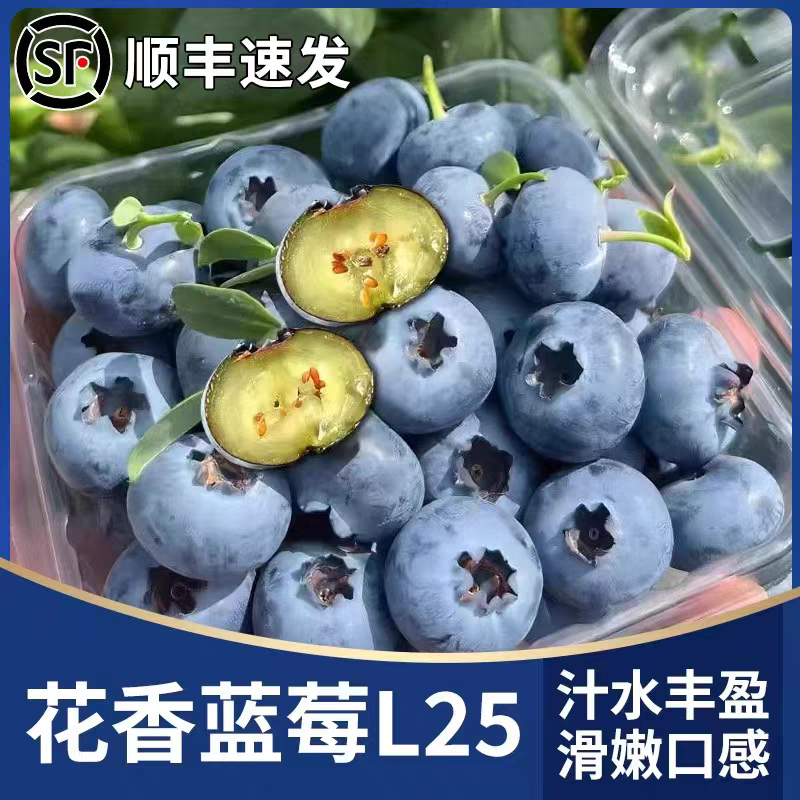 烟台山地花香蓝莓香甜现摘现发当季新鲜水果产地直发整箱顺丰包邮