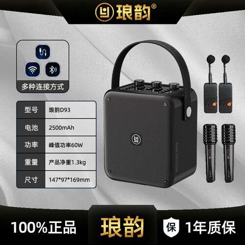 琅韵D93蓝牙户外音响100W大功率K歌便携露营广场舞电吹管乐器音箱