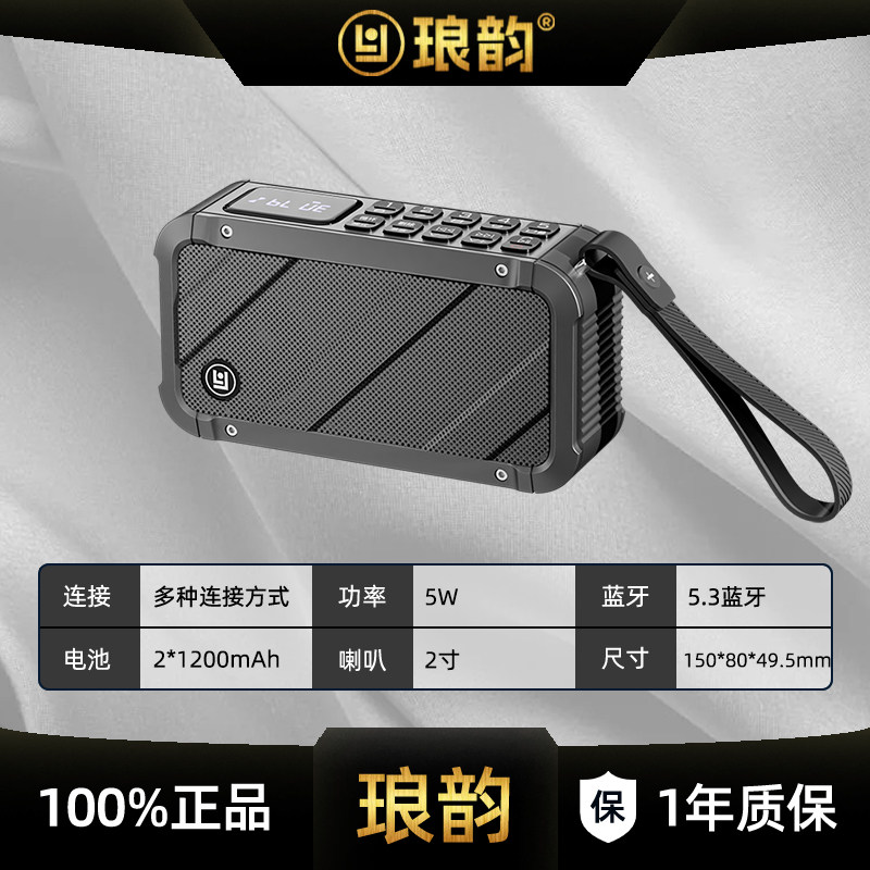 琅韵D82蓝牙音箱支持一键录音U盘TF卡音响收音机MP3播放器随身听