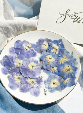 大飞燕干花押花淡紫色植物标本 压花相框书签请柬香薰滴胶手机壳