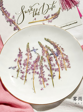 棉枣花干花标本diy滴胶手机壳滴胶杯垫押花装饰画手工压花团扇