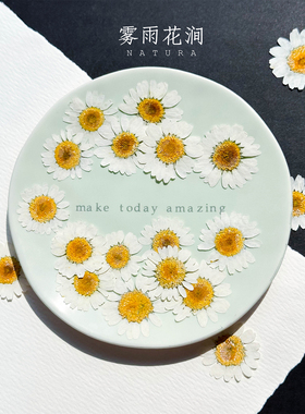 手工材料雏菊干花晶菊压花植物标本婚礼请柬团扇手工课滴胶手机壳