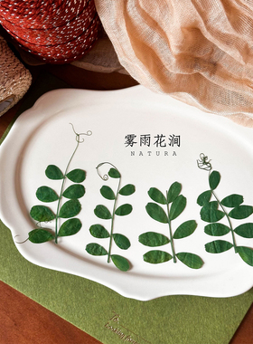 ins风押花植物麻豆叶绿色标本diy押花画书签干花蜡烛书签婚礼请柬