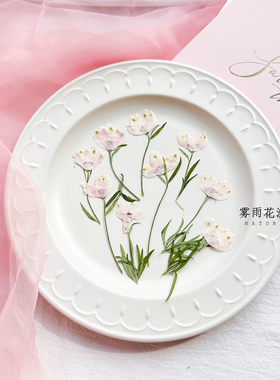 粉色小飞燕带枝侧压原色押花手工diy花材植物手账请柬信封蜡烛