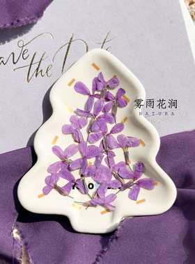 糖芥花干花押花雾雨花涧手工植物装饰画diy滴胶手机壳书签花材料