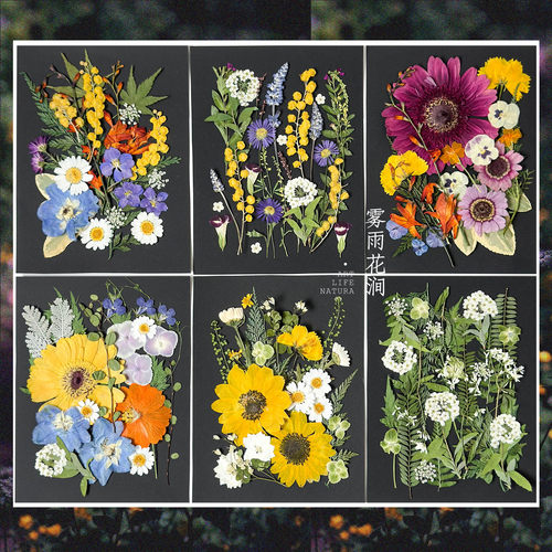 DIY押花干花标本材料包沙龙活动