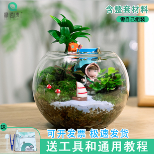 微景观DIY材料包批发生态景观缸苔藓微景观盆栽Y15系列源头工厂