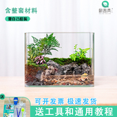 微景观爬宠缸DIY材料包需自己组装 办公卧室桌面创意景观摆件批发