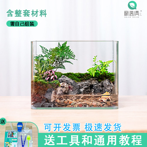 微景观爬宠缸DIY材料包需自己组装办公卧室桌面创意景观摆件批发