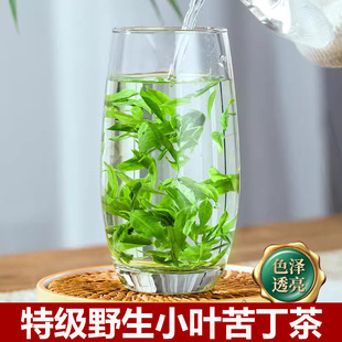 小叶苦丁茶2025四川野生特级嫩芽降甘油三酯茶苦丁茶有什么功效