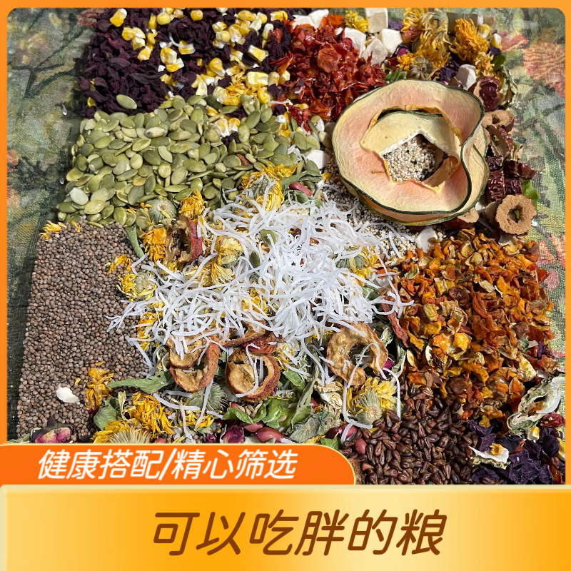 金丝熊专用粮食仓鼠零食木瓜片木瓜片磨牙棒冻干五谷杂粮营养食物
