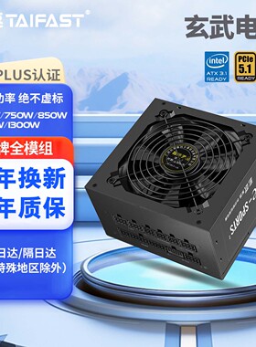 台速全新玄武全模组PC650W台式电脑主机电源额定550W600W750W铜牌