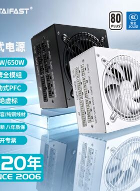 台速玄武全模组白牌静音电源