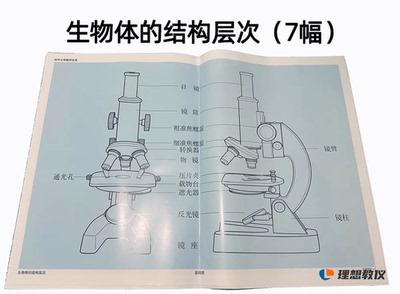 53001生物体的结构层次 初中生物教学挂图 实验器材 教学仪器 7幅