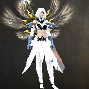 激战2具形轻甲皮肤商城道具黑狮宝石含wegame