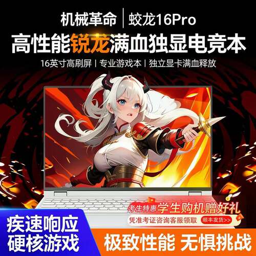 机械革命蛟龙16Pro锐龙版RTX5060