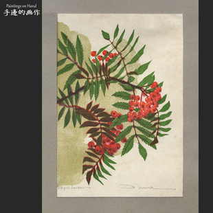 欧洲1900年代原创原版套色石印版画 装饰艺术格调/植物花卉花楸树