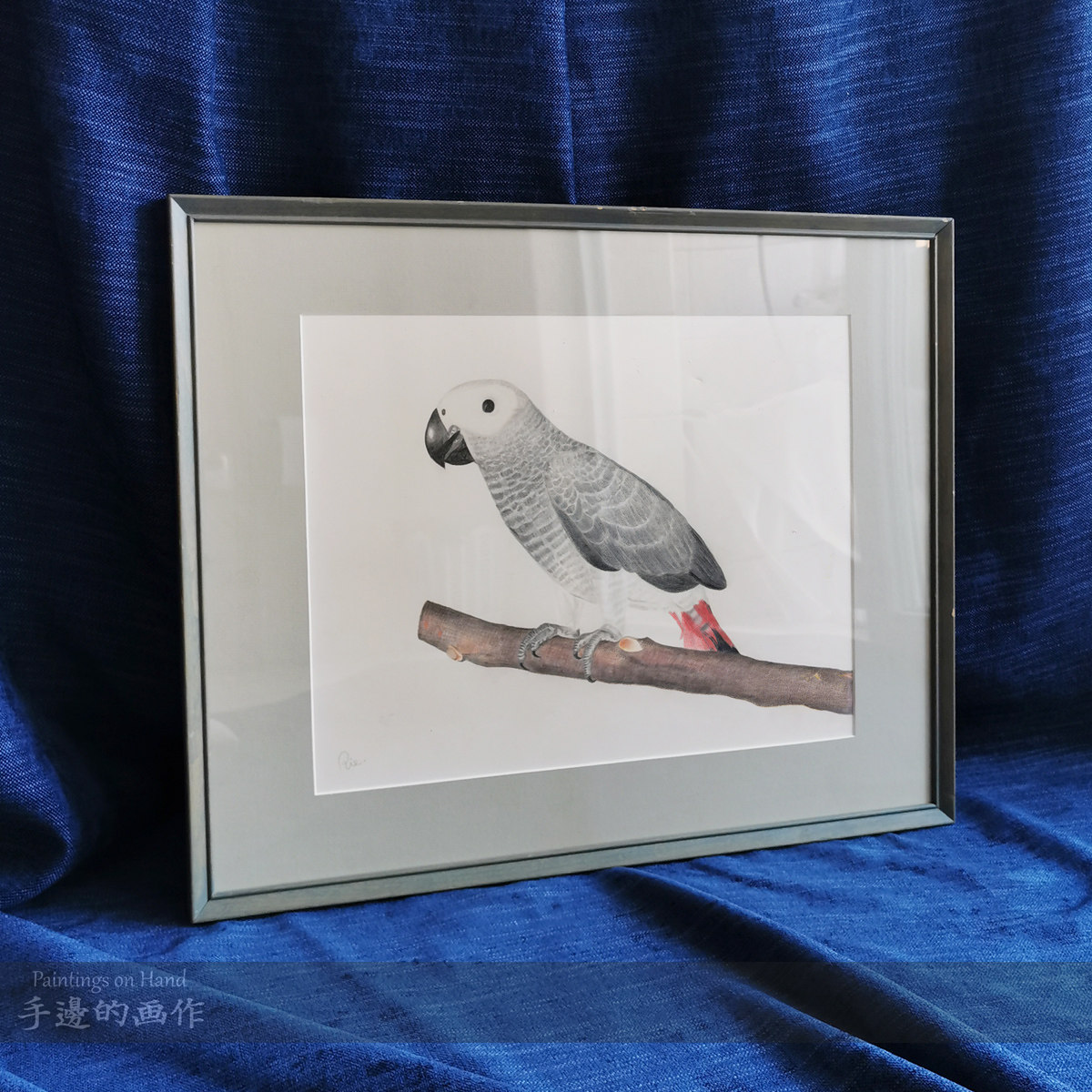 中古纯手绘原创 画家彩色铅笔画原作 实木框高格调装饰挂画 鹦鹉