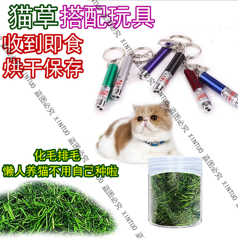XINTUO新鲜烘干即食猫草化毛猫咪小麦草清口气逗猫笔激光灯玩具