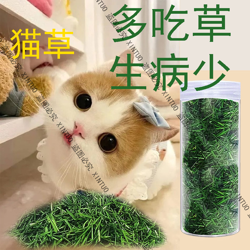 猫咪专用猫草烘干化毛增强体质猫草猫薄荷猫咪去毛球猫猫草干草