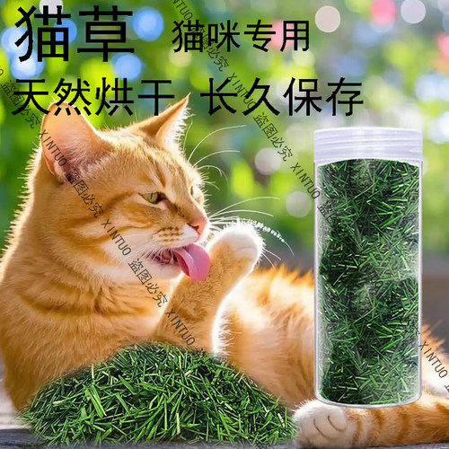 新鲜小麦草烘干猫咪猫草化毛排毛猫草碎去毛球化毛小猫零食猫薄荷