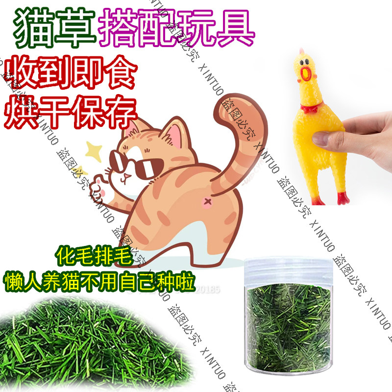 XINTUO新鲜烘干即食猫草去毛球猫咪猫草清口气搞怪尖叫鸡发声玩具