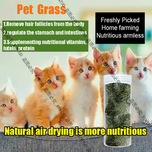 新鲜嫩草风干猫草化毛球兔兔干草营养狗零食清肠胃龙猫豚鼠荷兰猪