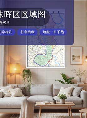珠晖区区域图 现代简约装饰画 办公室挂画 定制地图挂图