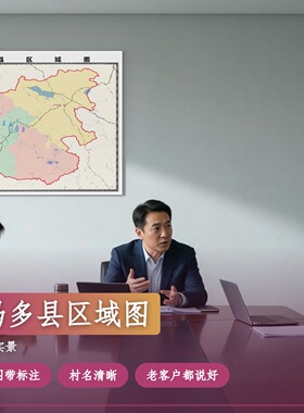玛多县区域图 现代简约装饰画 办公室挂画 定制地图挂图