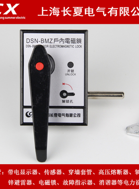 户内高压电磁锁DSN-BMZ BMY/AMZ(Y) I/Y(Z) DMY(Z)手柄式开关柜门