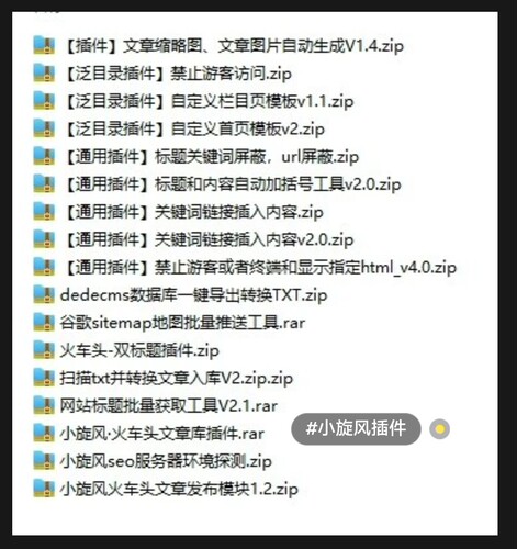 小旋风蜘蛛池pro2.96插件 泛目录v9.7插件超级模板站群通用插件