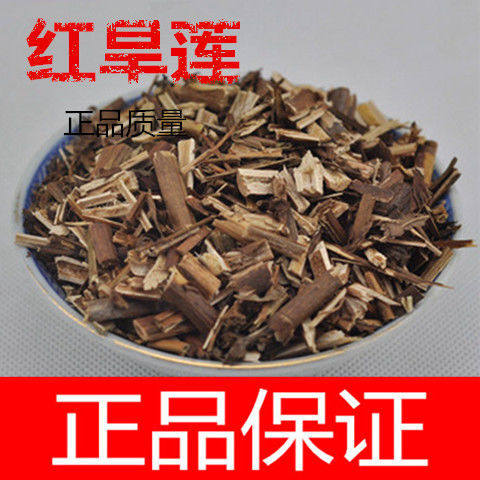 冷背材 红旱莲 牛心菜 鸡心菜 大金雀 四方草正品包邮真货