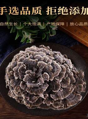 屼山芝 屼山灵芝 50克官网正品屼山灵芝【买二送一】屼山芝杞茶