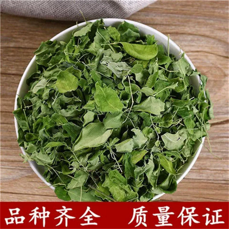 材辣木叶包邮 辣木干叶片自然晾晒辣木叶茶云南辣木籽叶真货