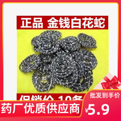 白花蛇 金钱白花蛇 1条6元 小白花蛇 白花蛇 百花蛇 30条包邮特产