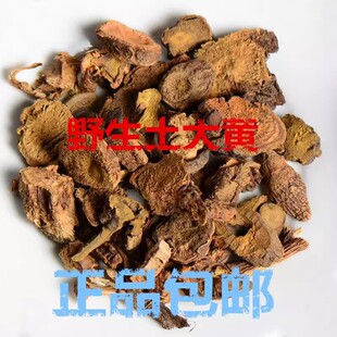 材野生土大黄正品牛耳大黄 羊蹄根 野大黄山大黄真货