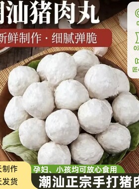 潮汕特产正宗手打猪肉丸火锅食材