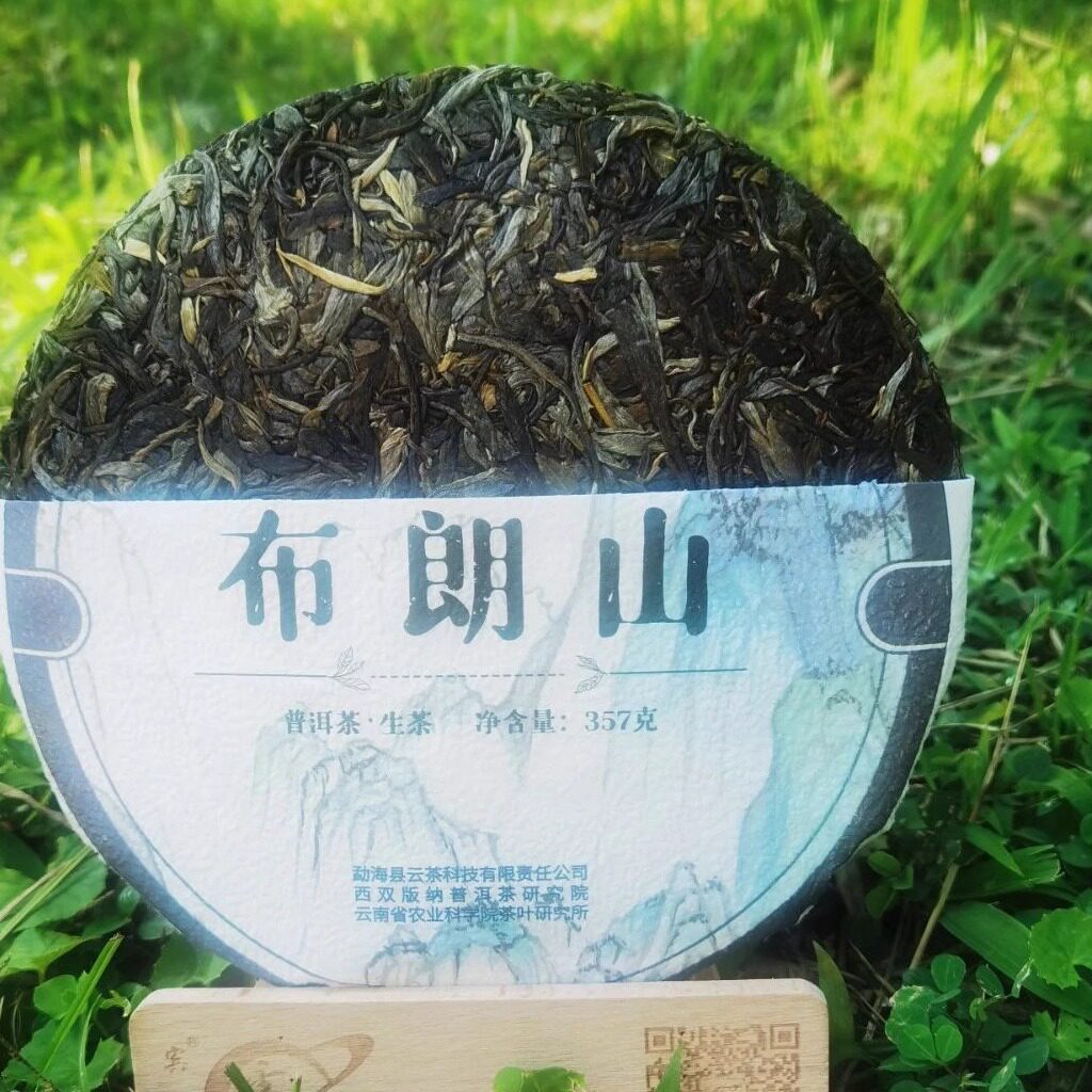 布朗山普洱茶云南省老曼峨名茶山