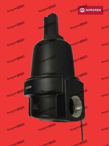 F18-B01-A3DG F18-C01-M3DG A1DG A2DG M1DG NorgrenF18过滤器