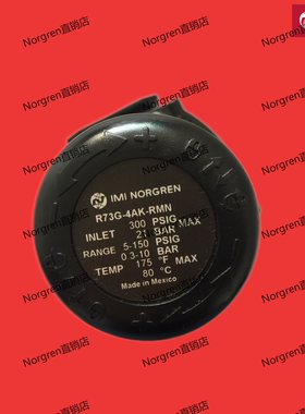 R73G-3BK-RMG 3AK 3GK RMN Excelon调压阀 NorgrenR73G系列减压阀