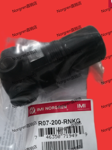 R07-1C6-RNKA  R07-1E2-RNMA 诺冠调压阀 NorgrenR07系列减压阀
